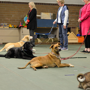 Catawba Valley Obedience Club, Hickory NC
